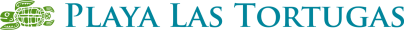 Playa Las Tortugas