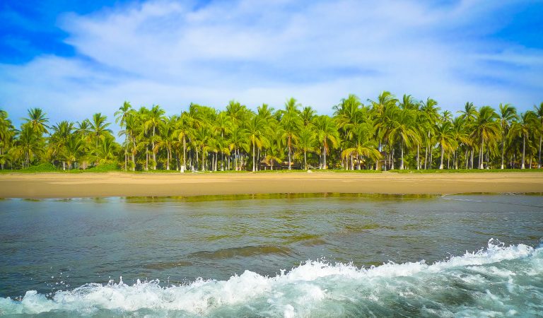 playa_tortugas_waves_palms